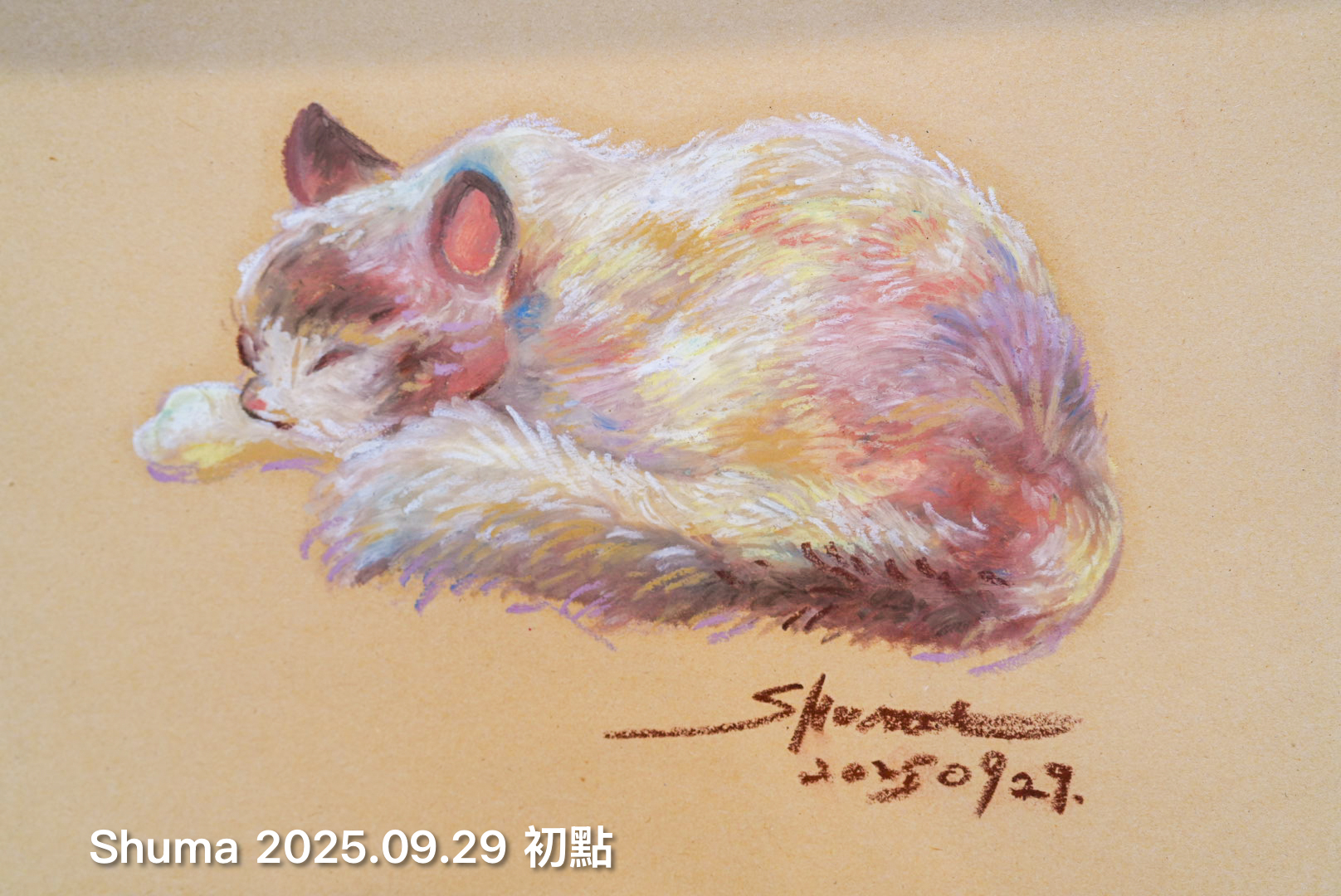陳書怡 Shuma 創作的小雙畫作